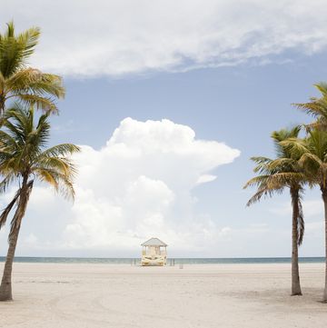 lifeguard stand, palm trees