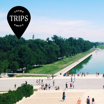 washington monument in washington dc