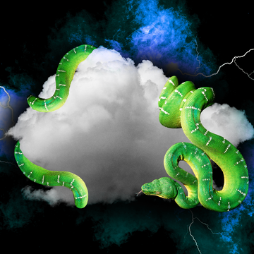 green snakes are curled around clouds